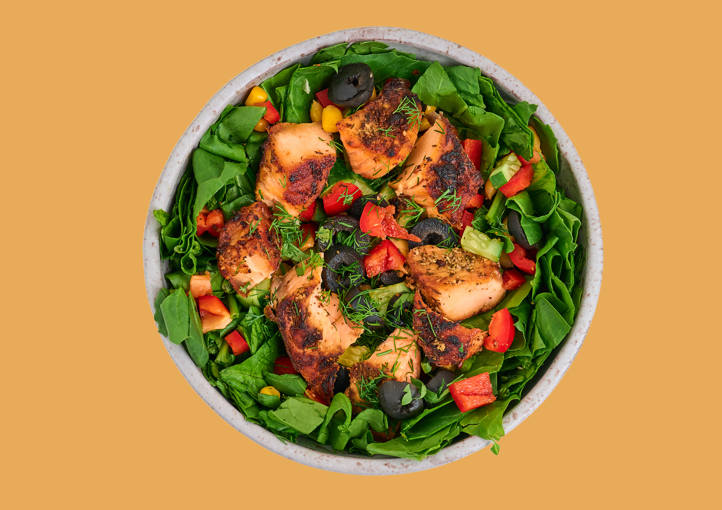 Salmon Sensation Salad