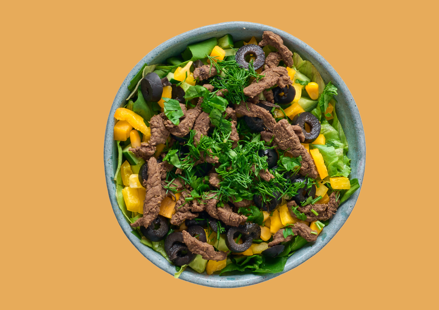 Steak Fiesta Salad